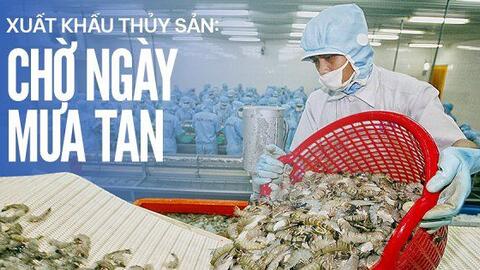 Xuất khẩu thuỷ sản: Chờ ngày mưa tan