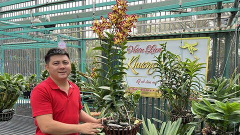 8X - Khởi nghiệp với mô hình trồng lan 