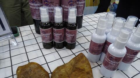 Sản xuất chế phẩm sinh học từ lá bàng phục vụ nuôi trồng thủy sản