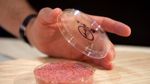 Mỹ cho phép bán thịt nhân tạo