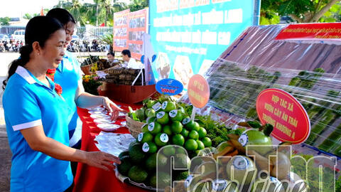 Phong Điền nâng cao chất lượng sản phẩm nông nghiệp 