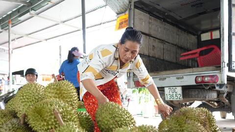 Phát triển bền vững cây sầu riêng trên đất Tây Ninh