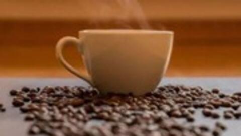 Tích xanh lá cây cho cà phê Việt vào EU