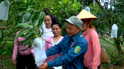 Nông dân Sơn La tích cực thi đua xây dựng nông thôn mới