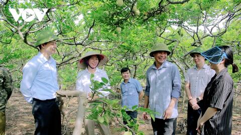 Phương pháp "rải vụ" là thế nào mà giúp na Đông Triều hạn chế việc được mùa mất giá