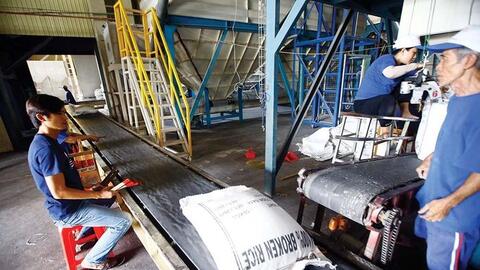 Cổ phiếu doanh nghiệp xuất khẩu gạo kéo dài chuỗi tăng trần