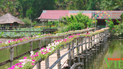 Du lịch nông nghiệp: Nông dân thu hàng trăm triệu/năm từ cây sen (Bài 1)