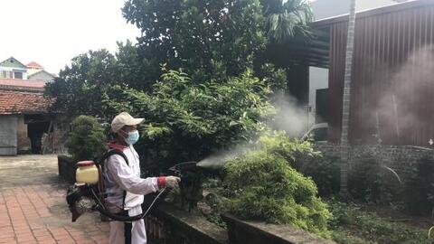 Kiên quyết xử lý các trường hợp không tuân thủ phòng, chống dịch sốt xuất huyết