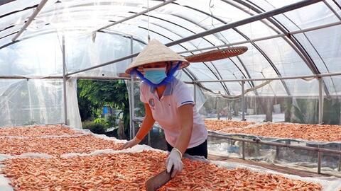 Cà Mau liên kết, tối ưu hóa chuỗi sản xuất thủy sản