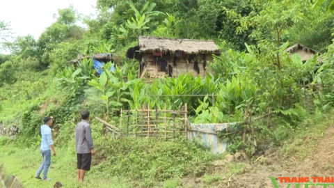 Nông dân Sìn Hồ của Lai Châu có nhiều giải pháp giải thiệt hại do thiên tai, mưa lũ