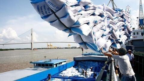 Giá gạo xuất khẩu Việt Nam tiếp tục lập “đỉnh mới” khi đạt 643 USD/tấn