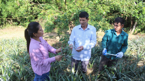 Huyện Sông Mã của Sơn La thay đổi tư duy sản xuất nông nghiệp