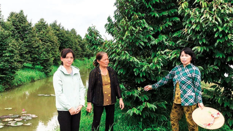 Niềm vui với sầu riêng 