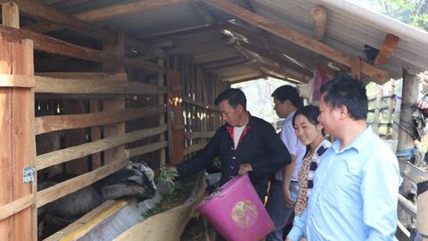 Nông dân Tủa Chùa phát huy tính năng động, sáng tạo trong lao động