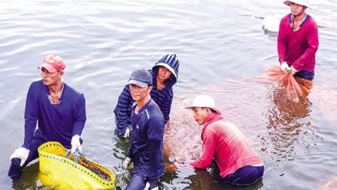 Tăng tính chủ động phòng, chống dịch bệnh trong nuôi trồng thủy sản 