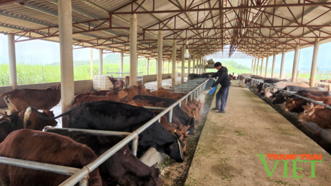 Nông dân Lai Châu thi đua sản xuất, kinh doanh giỏi