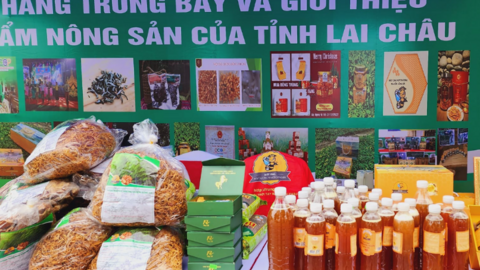 Nậm Nhùn giúp nhà đầu tư, HTX sản xuất, kinh doanh hiệu quả