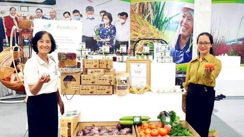 Hiệu quả từ những mô hình hợp tác xã kiểu mới