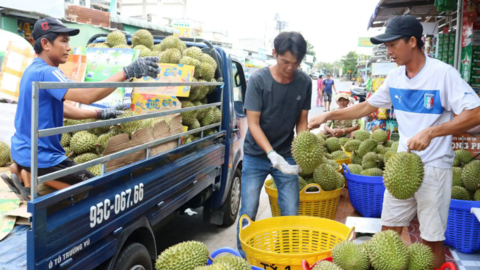 Tiềm năng phát triển xuất khẩu vào khu vực Đông Bắc Á 