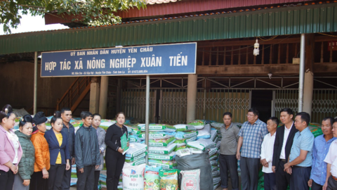 Hỗ trợ vật tư cho hội viên nông dân phát triển sản xuất