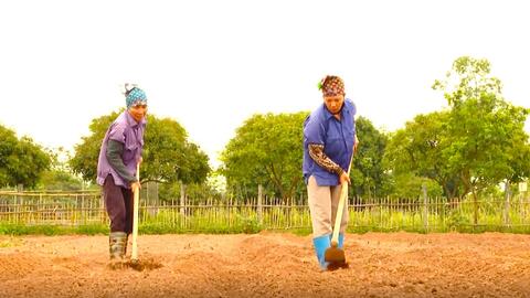 Cần chính sách ưu tiên thực sự đột phá để phát triển nông nghiệp Thủ đô