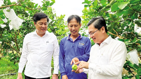 Ô Môn tạo dấu ấn đô thị công nghiệp 