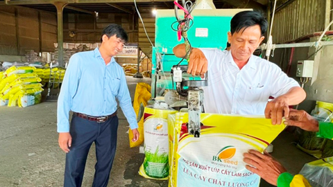 Bứt phá làm giàu 