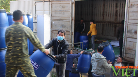 Hỗ trợ hội viên nông dân triển khai mô hình về phân loại, thu gom, vận chuyển rác thải sinh hoạt