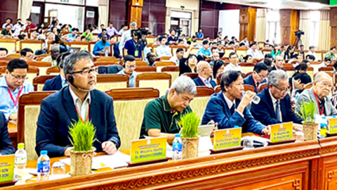 Quan tâm đẩy mạnh ứng dụng khoa học, công nghệ và đổi mới sáng tạo trong ngành lúa gạo 