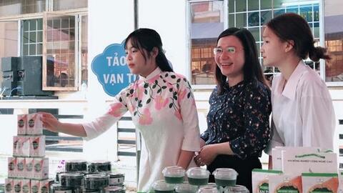 Trồng tảo xoắn thu lợi hàng tỷ đồng mỗi năm