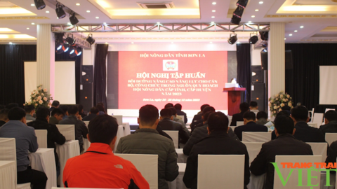 Sơn La: Nâng cao năng lực cho cán bộ, công chức trong nguồn quy hoạch Hội Nông dân các cấp