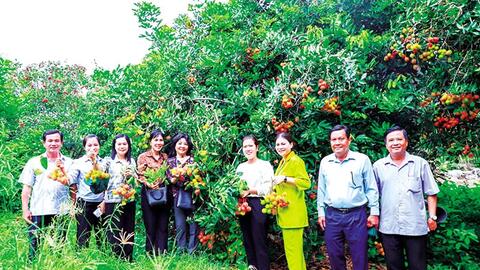 Thốt Nốt: Giá trị sản xuất nông nghiệp đạt hơn 2.656 tỉ đồng 