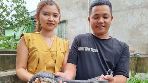 Mô hình nuôi rắn ri cá cho thu nhập cao 