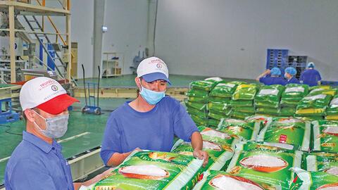 Thay đổi tư duy, thay đổi tầm nhìn để gạo Việt Nam phát triển bền vững 