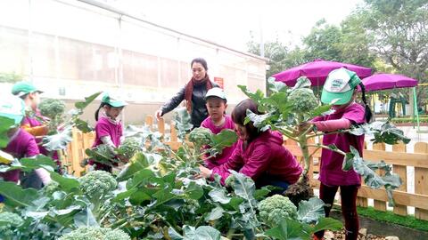 Kiến tạo không gian xanh trong trường học