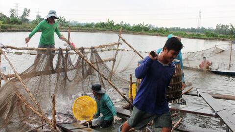 Giá cả thị trường 