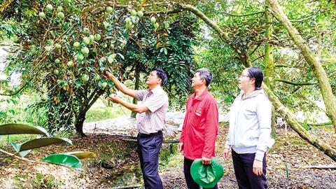 Phong Ðiền phát triển nông nghiệp gắn với thế mạnh địa phương 