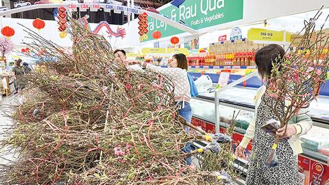 Đào cành, tuyết mai, thanh liễu... được ưa chuộng 