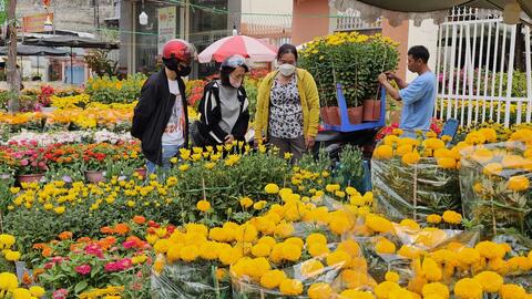 Sức mua yếu, hoa kiểng Tết giảm giá 