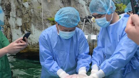 Phẫu thuật ghép phổi thành công cho nữ bệnh nhân trẻ tuổi