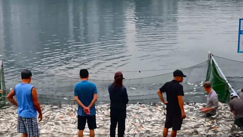 Xuất khẩu thủy sản phục hồi chậm