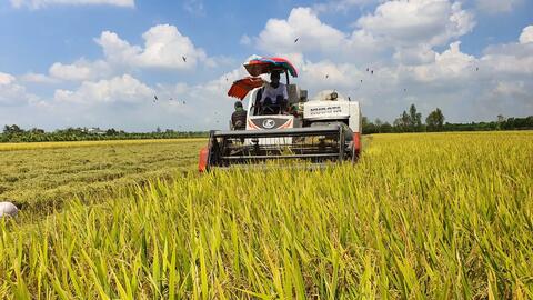 Nâng cao hiệu quả sản xuất nông nghiệp 