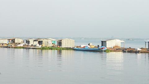 Vĩnh Long - nhiều mô hình sản xuất nông nghiệp hiệu quả 