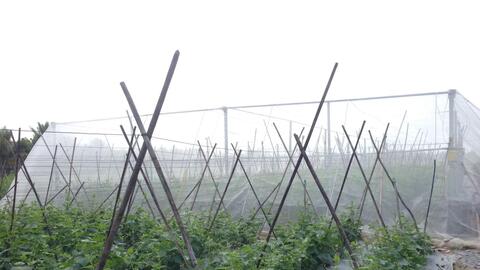 Ứng phó khô hạn, phát triển nông nghiệp chất lượng cao 