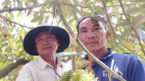 Những tỉ phú nông dân năng động 