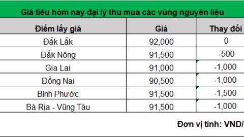 Giá tiêu thấp nhất chỉ còn 90.500 đồng/kg, hàng vụ mới ra thị trường nhiều