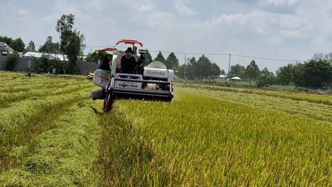 Nâng cao năng lực của nông dân và các hợp tác xã nông nghiệp 