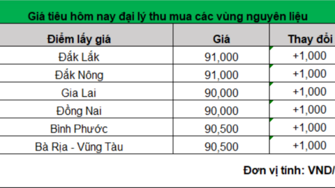 Giá hạt tiêu chấm dứt đà giảm, có dấu hiệu tích cực