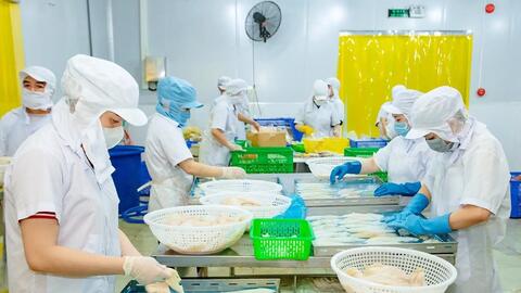 Xây dựng chuỗi giá trị sản phẩm bền vững trong khu vực kinh tế tập thể 