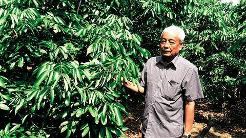 Lão nông Trần Văn Coi năng động làm giàu 